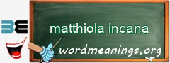 WordMeaning blackboard for matthiola incana
